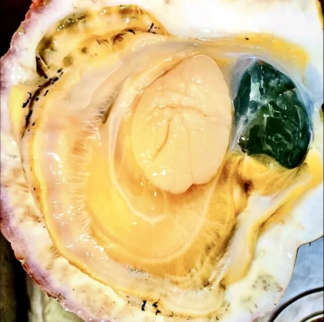 炉ばた焼 浦シマ（ウラシマ） - 沼ノ端（居酒屋）の写真