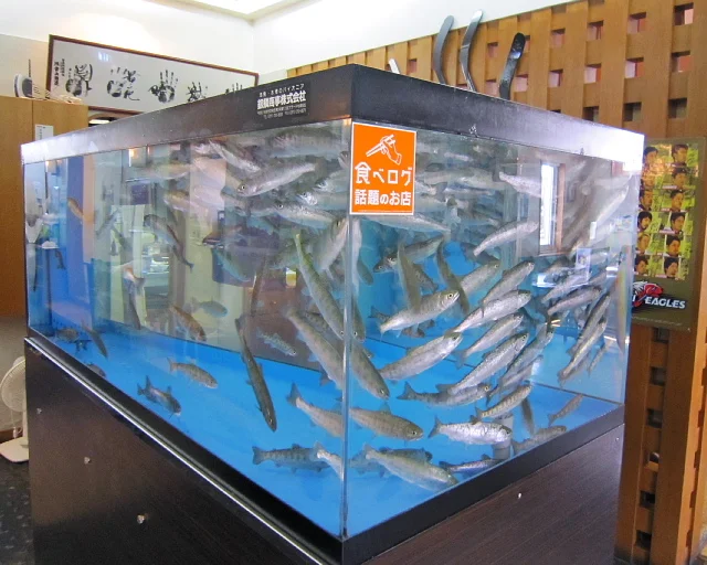 日本橋（ニホンバシ） - 糸井（日本料理）の写真