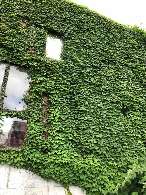 オタル サトウ ブレンド ビアンカフェ（OTARU SATO BLEND bien caf&eacute;） - 南小樽（カフェ）の写真