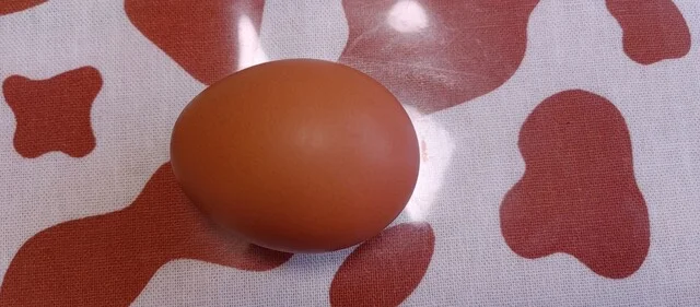 道東鶏卵 - 釧路（その他）の写真