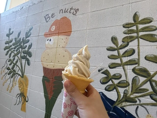 Be nut's 小樽店（び～なっつ） - 南小樽（ソフトクリーム）の写真