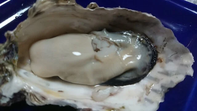 サンヒルズ - 桂台（その他）の写真