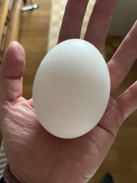 道東鶏卵 - 釧路（その他）の写真