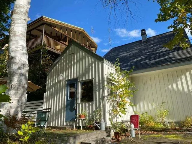 カモミール - 近文（喫茶店）の写真