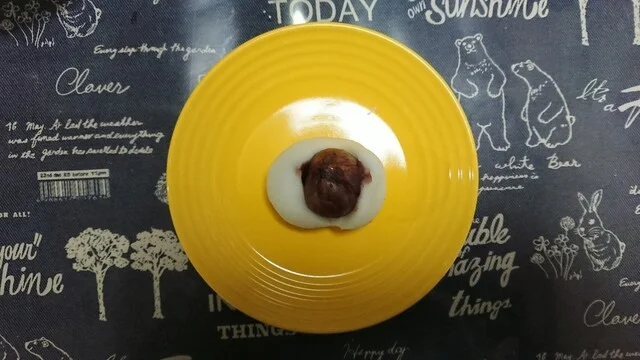 松屋 コープさっぽろ星が浦店 - 新大楽毛（和菓子）の写真