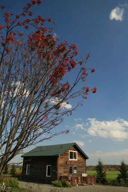 Cafe　ある - 帯広市その他（カフェ）の写真