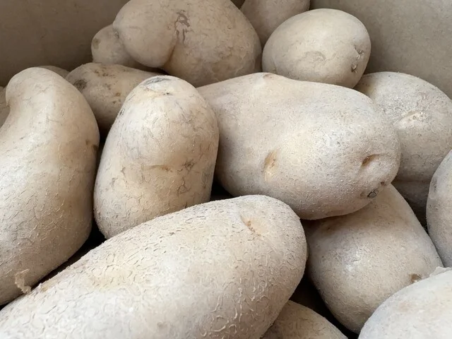 大正 メークイン 物産店 本店 - 帯広市その他（その他）の写真