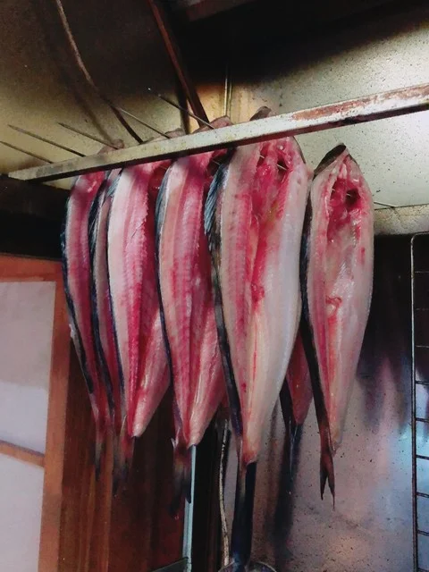 魚々魚かさまつ（【旧店名】魚河岸紀翔） - 帯広（居酒屋）の写真