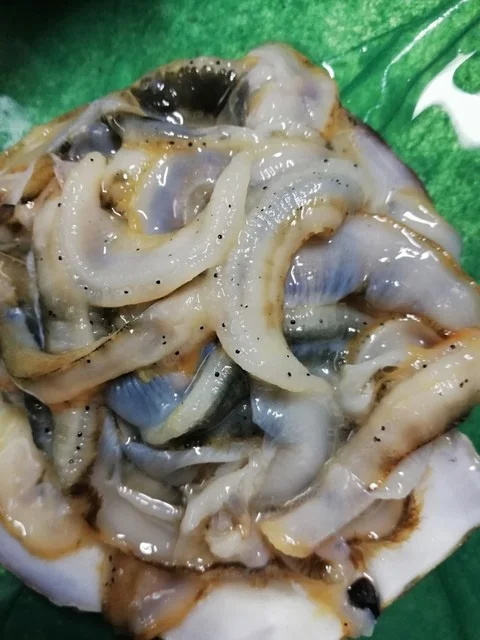 マリンハウス脇野沢 - むつ市その他（その他）の写真