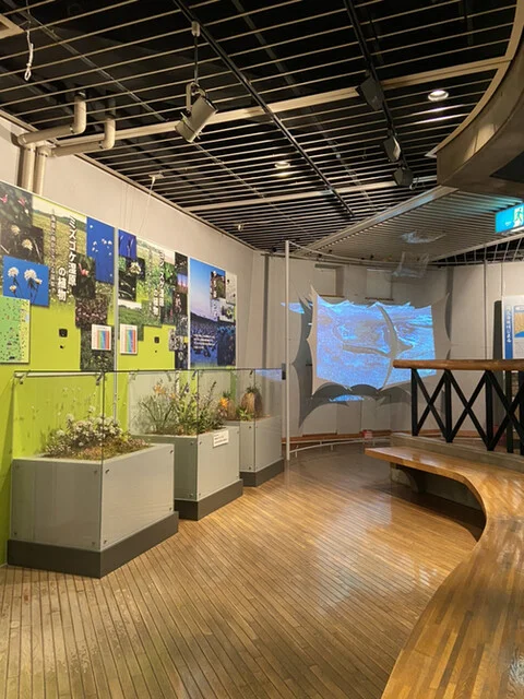 釧路市湿原展望台レストハウス 憩っと - 釧路（ジェラート・アイスクリーム）の写真