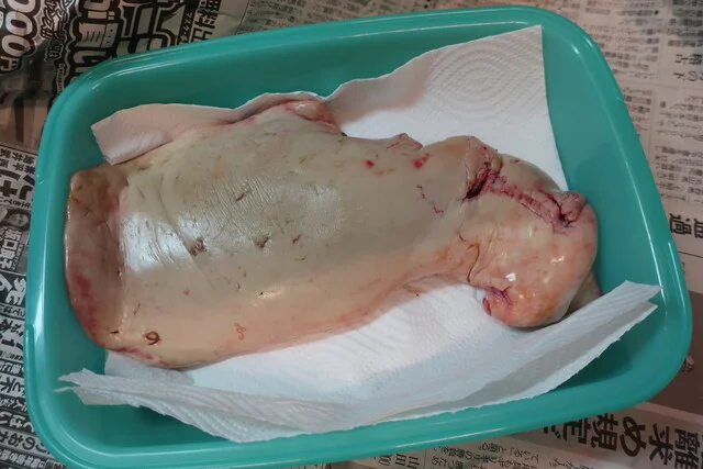 横田鮮魚店 - 小樽（その他）の写真