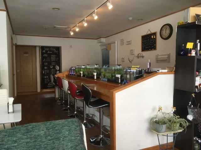 カフェ IROHA - 帯広（カフェ）の写真