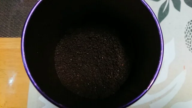 珈琲屋 デリカップ - 桂台（その他）の写真