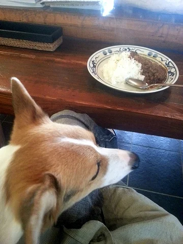 ロッジ（LODGE【旧店名：犬のいる店】） - 呼人（カフェ）の写真