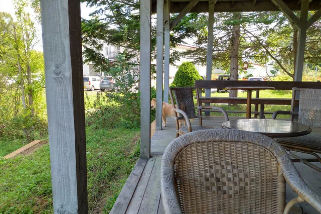 月夜のきつね - 神楽岡（喫茶店）の写真