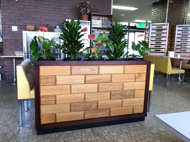 ファミリーレストラン りっか亭 - 旭川（食堂）の写真