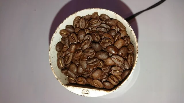 舟木コーヒー - 釧路（その他）の写真