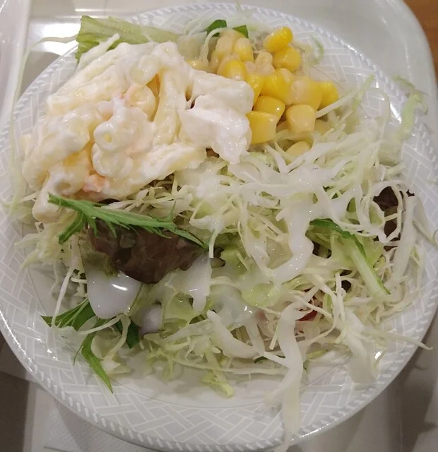 太平洋フェリーきたかみ レストラン グリーンプラネット - 苫小牧（ビュッフェ）の写真