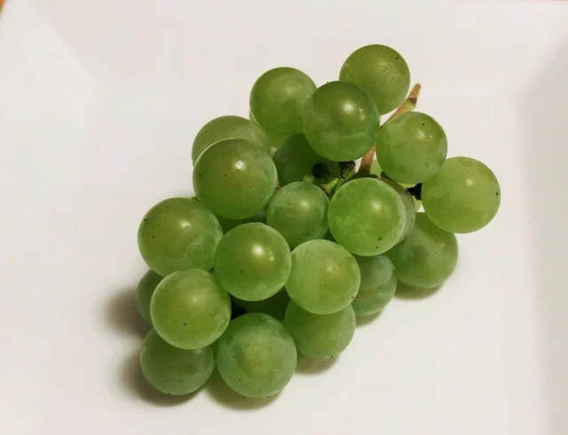 ダイニングバー燕 - 網走（フレンチ）の写真