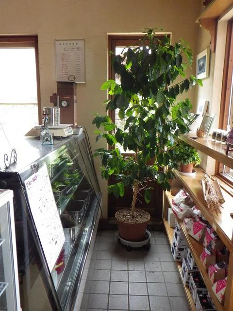 北工房（キタコウボウ） - 美瑛（カフェ）の写真