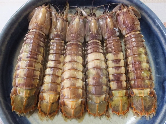 本間水産 - 南小樽（その他）の写真