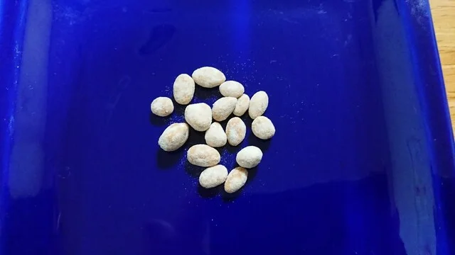 高橋商店 - 釧路（その他）の写真