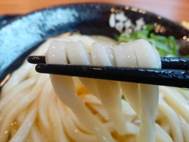 はなまるうどん むつ中央店 - 下北（うどん）の写真