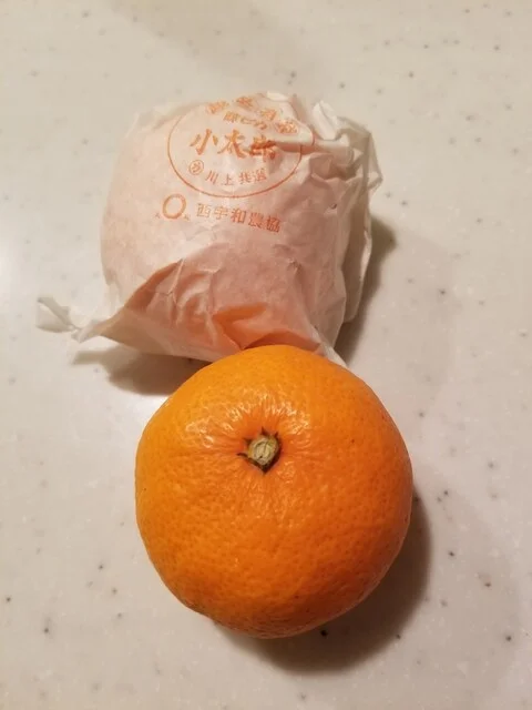 フルーツパパ＆ジューシーママ - 小樽（ジューススタンド）の写真