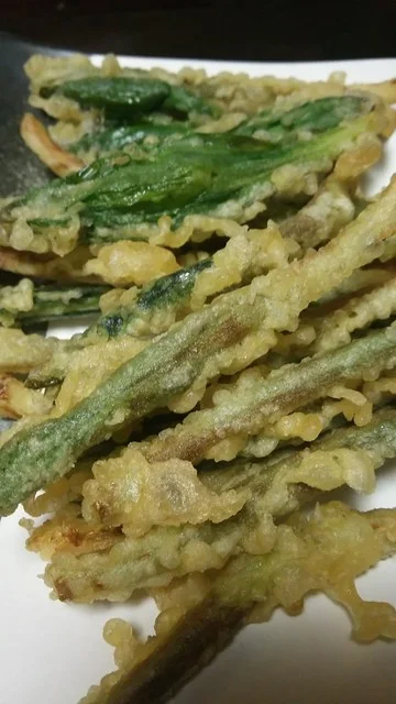 寿司炉端 亀ちゃん - 苫小牧（居酒屋）の写真