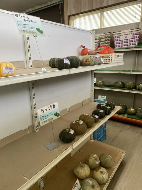 グリーンヒル905（グリーンヒルキュウマルゴ） - 網走（その他）の写真