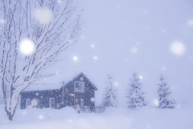 Cafe　ある - 帯広市その他（カフェ）の写真