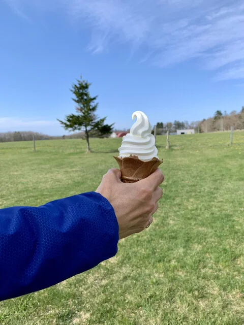 チーズ工房の極上ソフトクリーム : チーズ工房チカプの写真