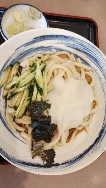 ファミリーレストラン だいまる - 美瑛（食堂）の写真