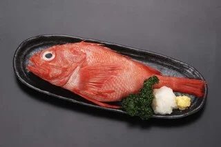 めいじ家大舟 - 旭川（居酒屋）の写真