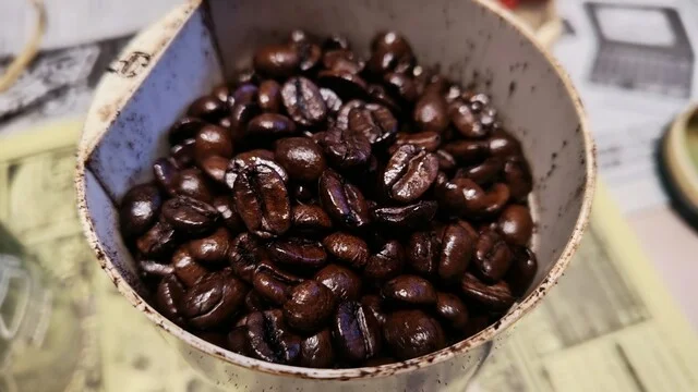 WING CATS COFFEE ROASTERY（ウイング キヤッツ コーヒー ロースタリー） - 桂台（その他）の写真
