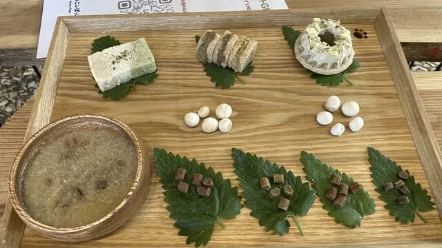 ハルニレポッポ - 緑が丘（カフェ）の写真