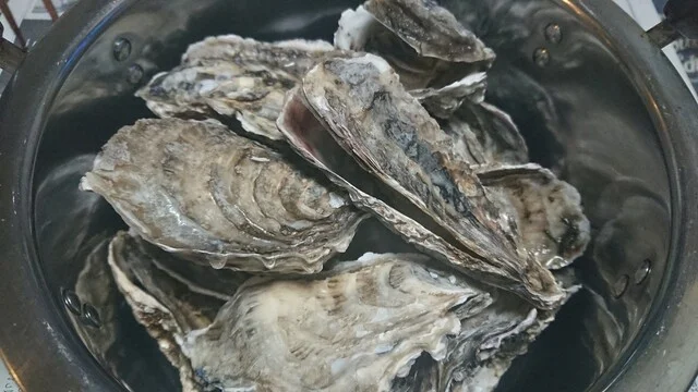 サンヒルズ - 桂台（その他）の写真