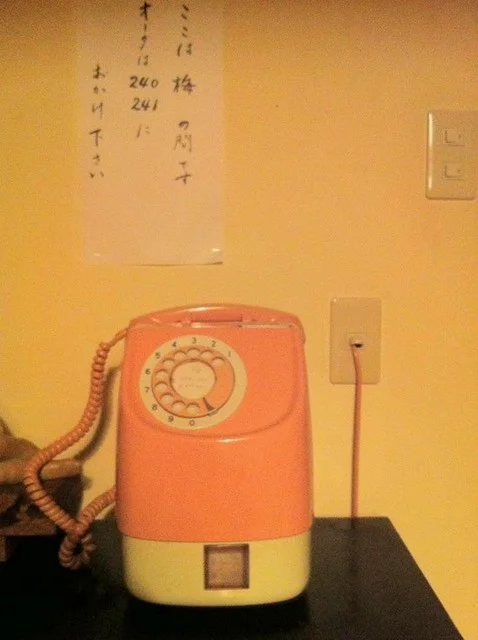 鶏の伊藤（とりのいとう） - 帯広（鳥料理）の写真