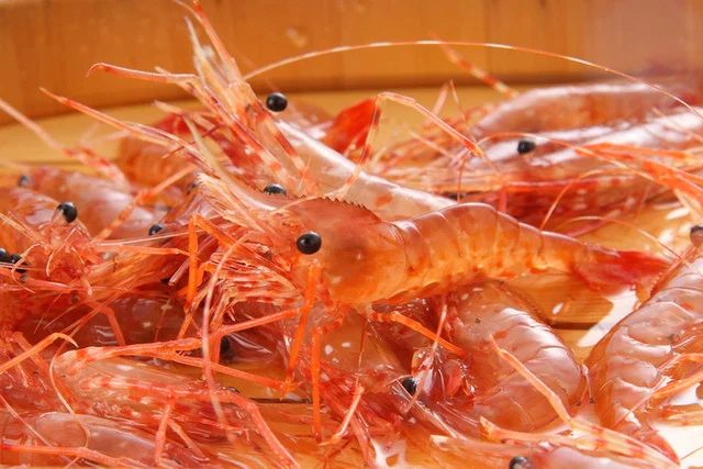 海鮮家 小樽磯鮨（カイセンヤ オタルイソズシ） - 南小樽（寿司）の写真