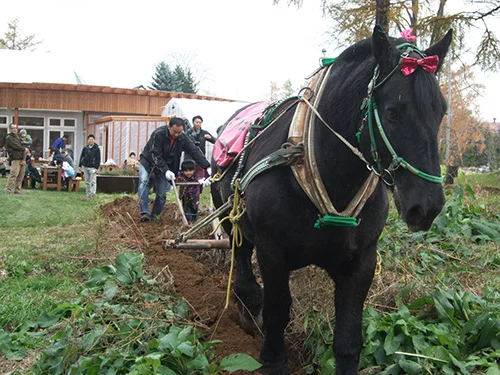 麦音  - 帯広（パン）の写真