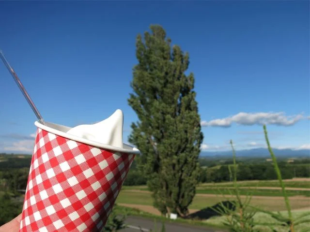 カフェ ツリーテラス（CAFE TREE TERRACE） - 美瑛（カフェ）の写真