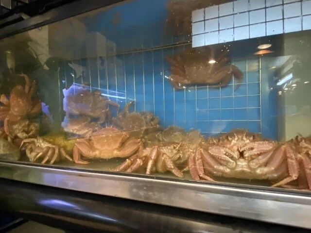 おたる 魚亭（うおてい） - 小樽（寿司）の写真