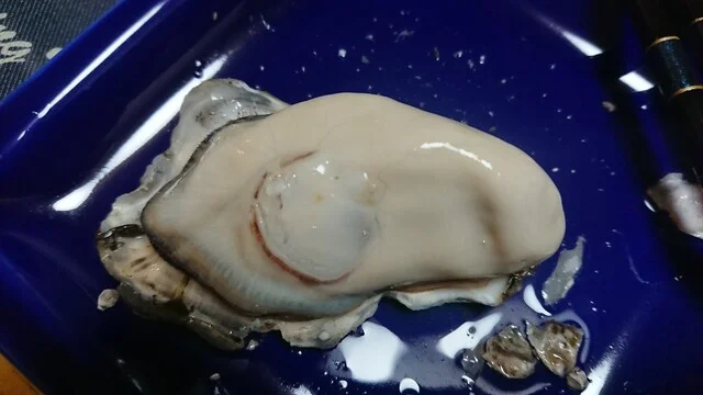 サンヒルズ - 桂台（その他）の写真