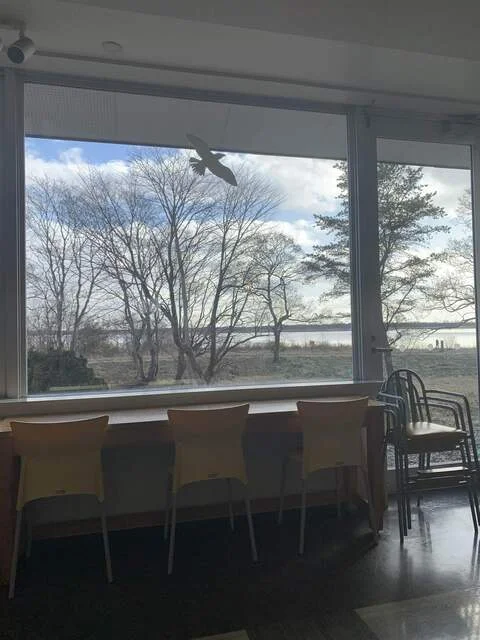 ラポ・ラポラ食堂 - 沼ノ端（食堂）の写真