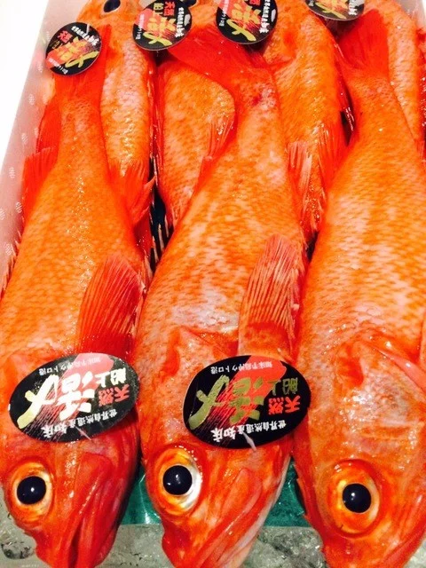 SUSHI BAR THE ƎND -縁戸- - 桂台（寿司）の写真