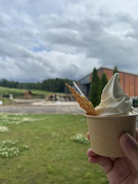 美瑛放牧酪農場 - 美馬牛（カフェ）の写真