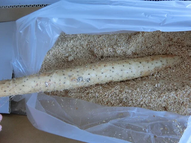 (有)道下広長農場 - 中札内村その他（その他）の写真