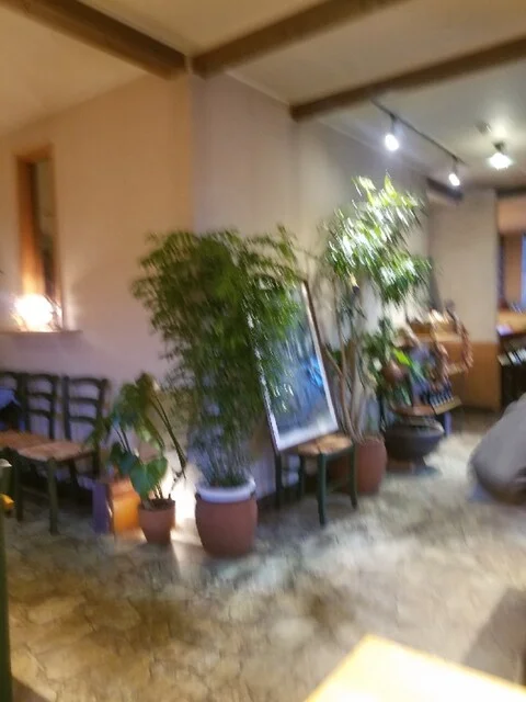 カレーリーフ - 柏林台（スープカレー）の写真