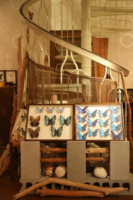 クプクプカフェ - 錦岡（沖縄料理）の写真