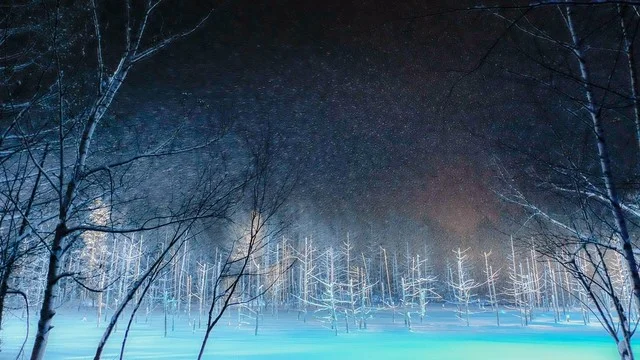 洋食とcafeじゅんぺい - 美瑛（コロッケ）の写真